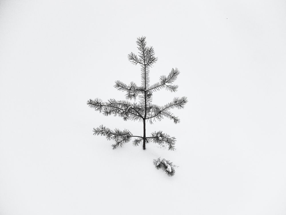 Photograph by Екатерина Салий