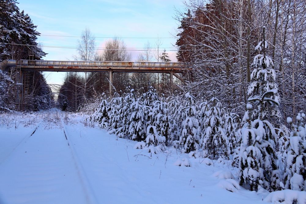 Photograph by эдуард петруша