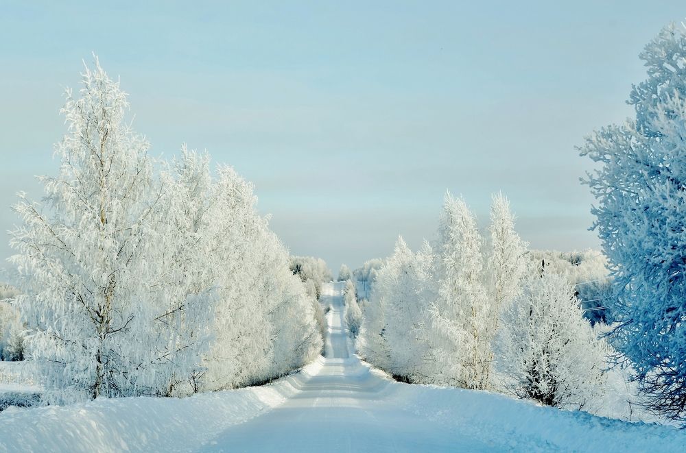 Photograph by Решетников Виктор