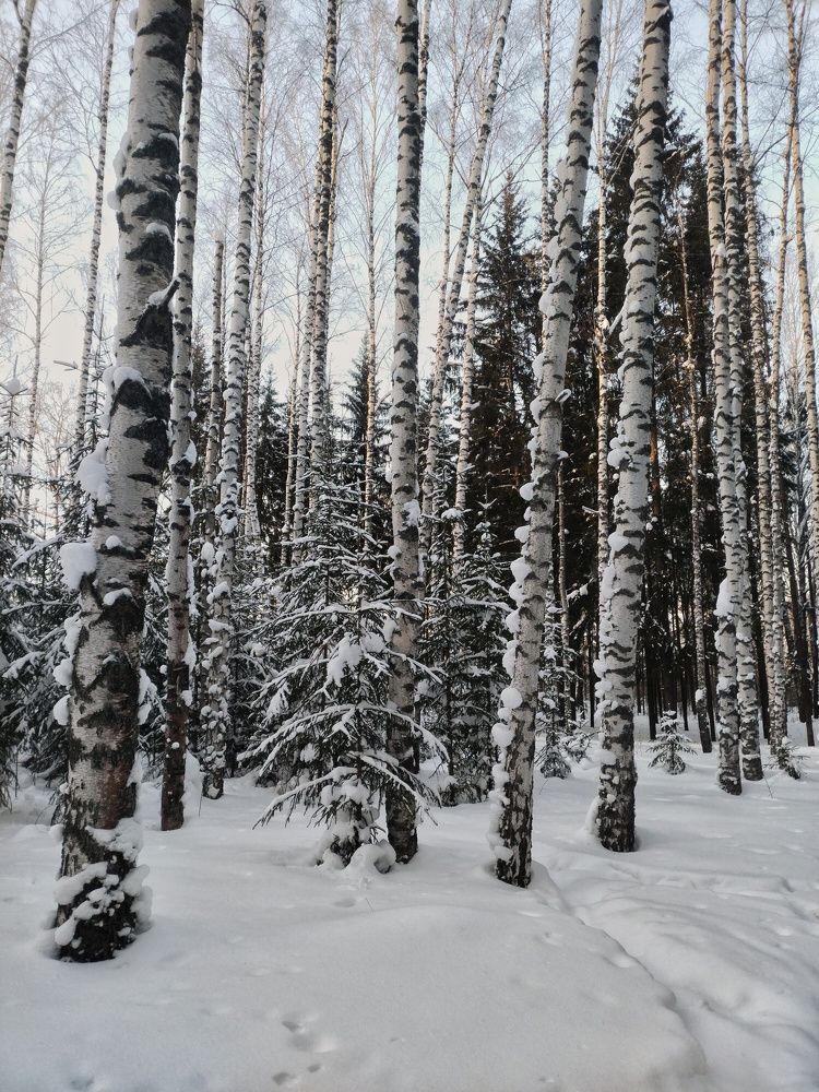 Photograph by Елена Гусева