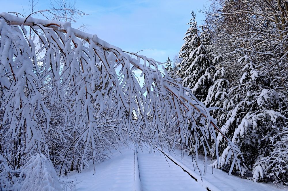 Photograph by эдуард петруша