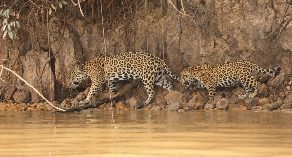 Photograph by Игорь Щербаков