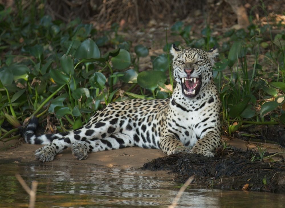 Photograph by Игорь Щербаков