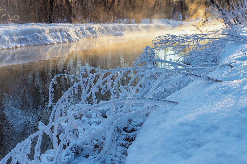 Photograph by Michel