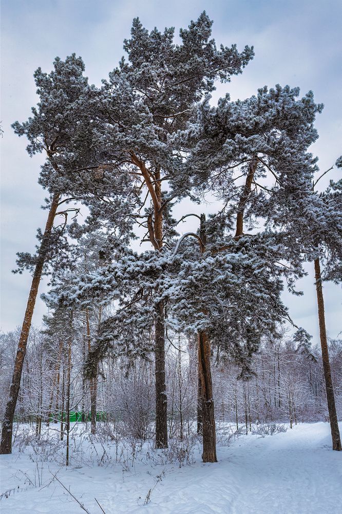 Photograph by Michel