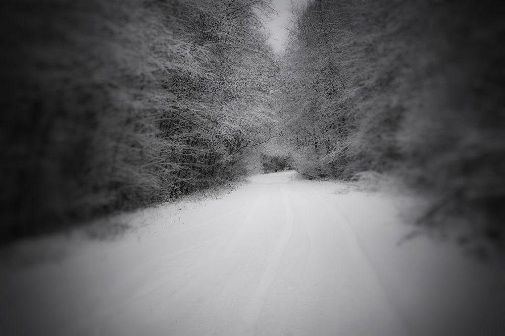 Photograph by Сергей Симаков