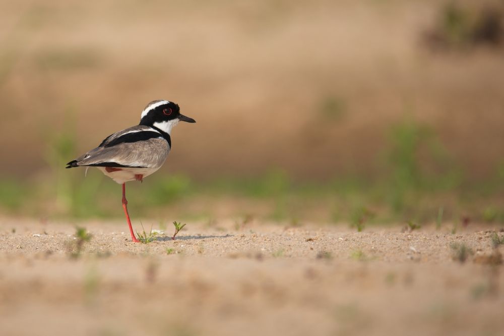 Photograph by Игорь Щербаков