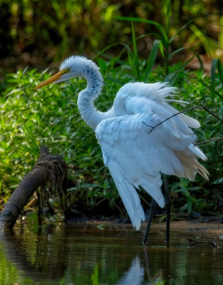 Photograph by Игорь Щербаков