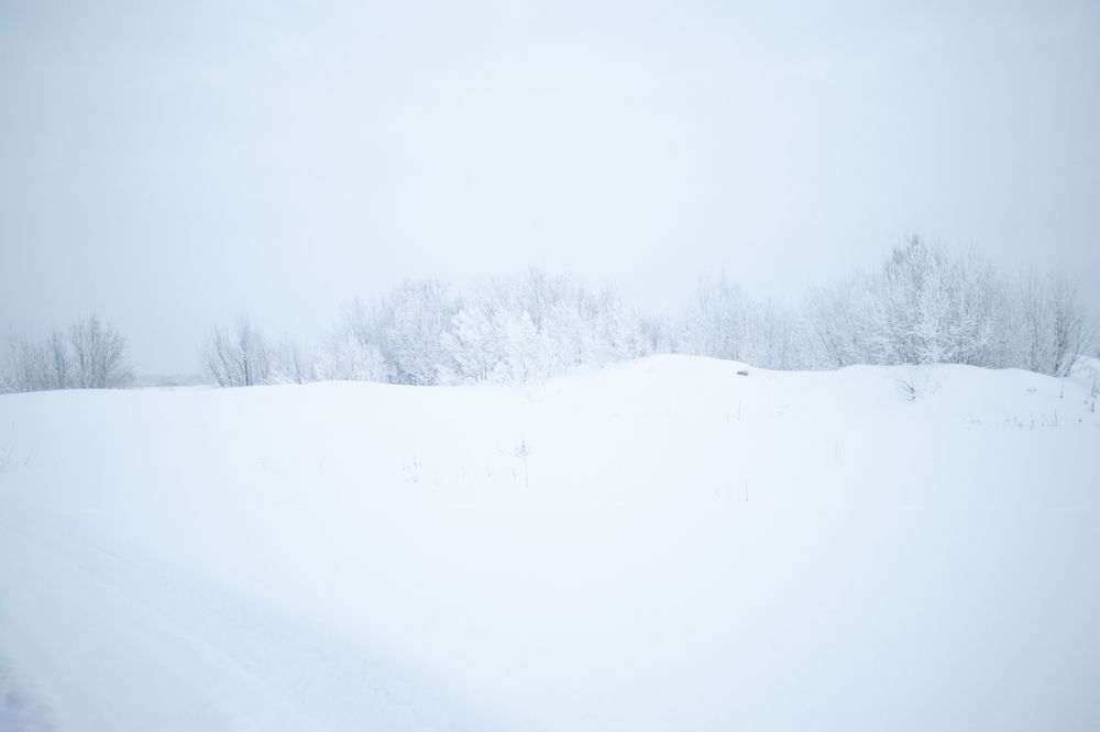 Photograph by Никита Павлов