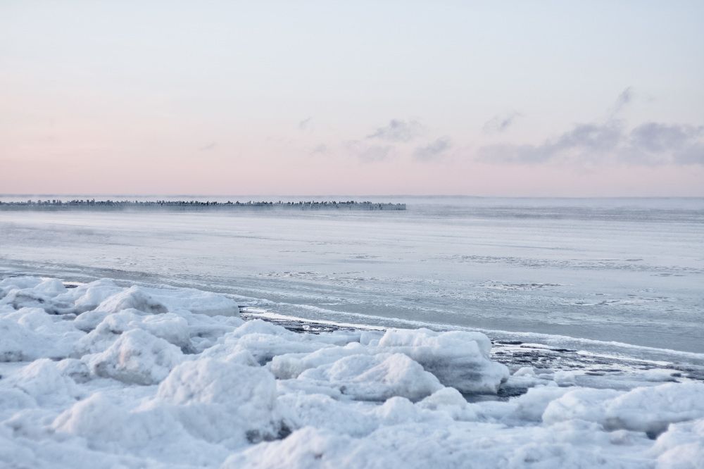 Photograph by Никита Павлов