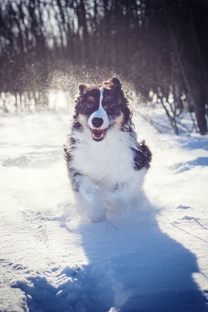 Photograph by Екатерина