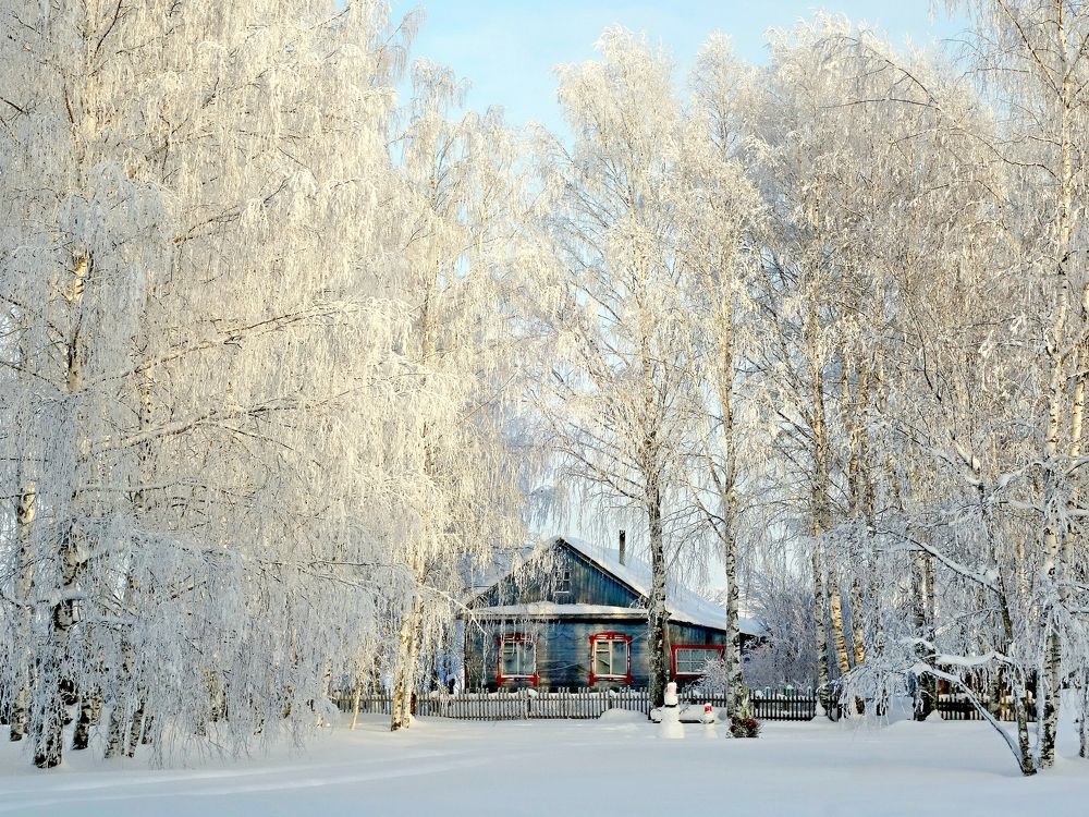 Photograph by виктор Решетников