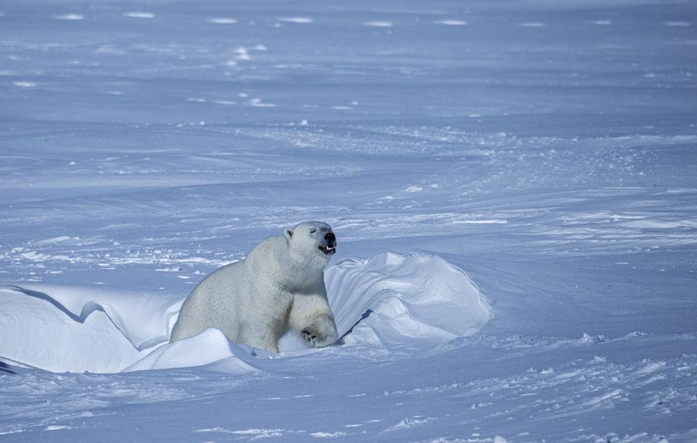 Photograph by Владислав Костылев