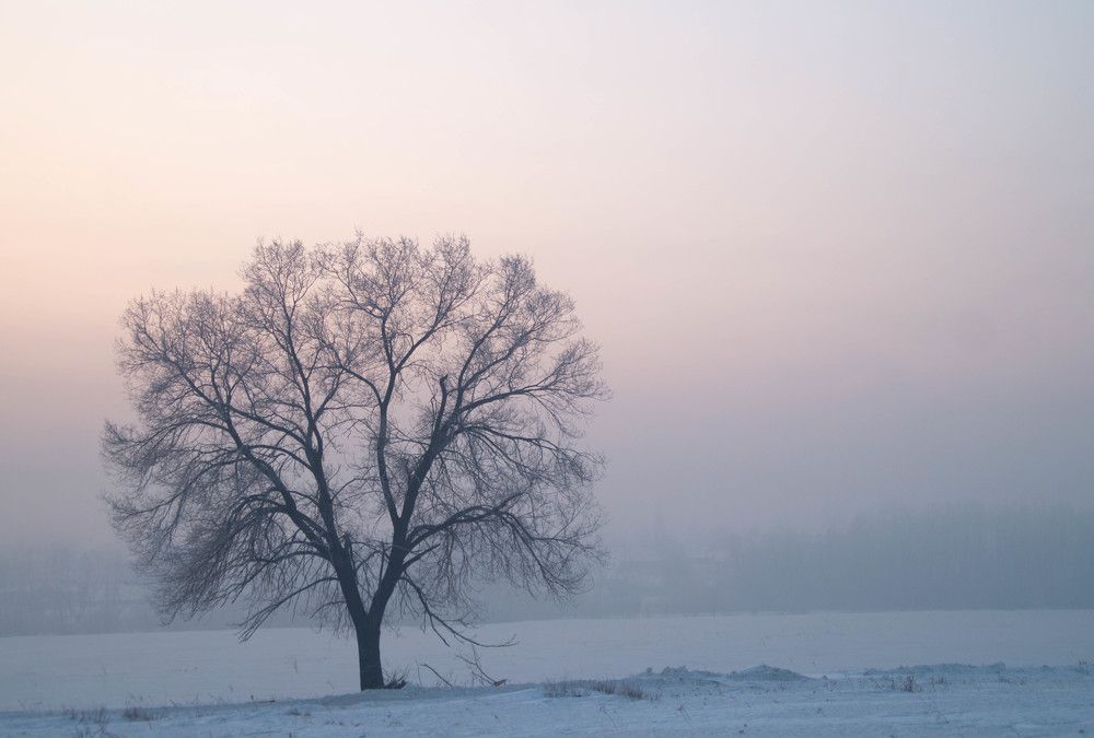 Photograph by Дубровин Николай
