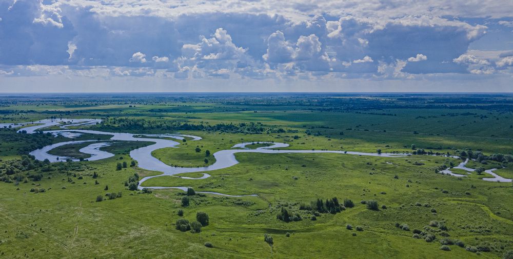 Photograph by Ольга Левакова