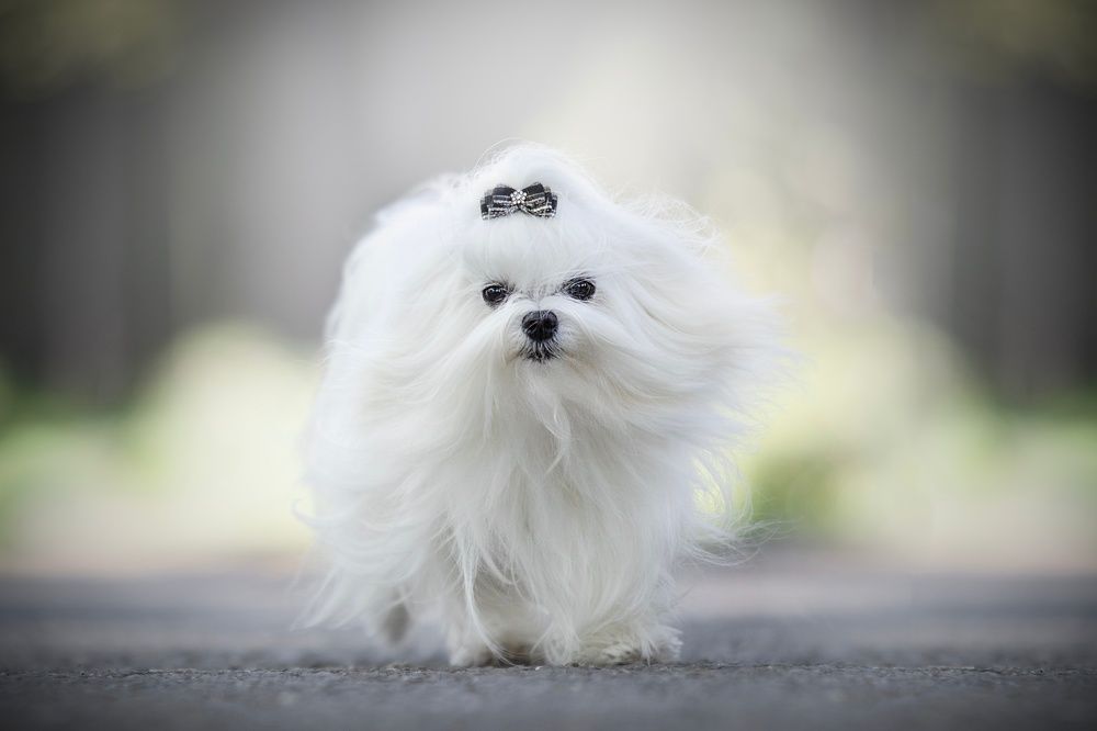 Photograph by Nikol Kopp