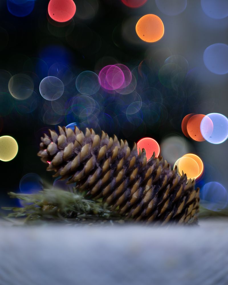 Photograph by Виктория Сид