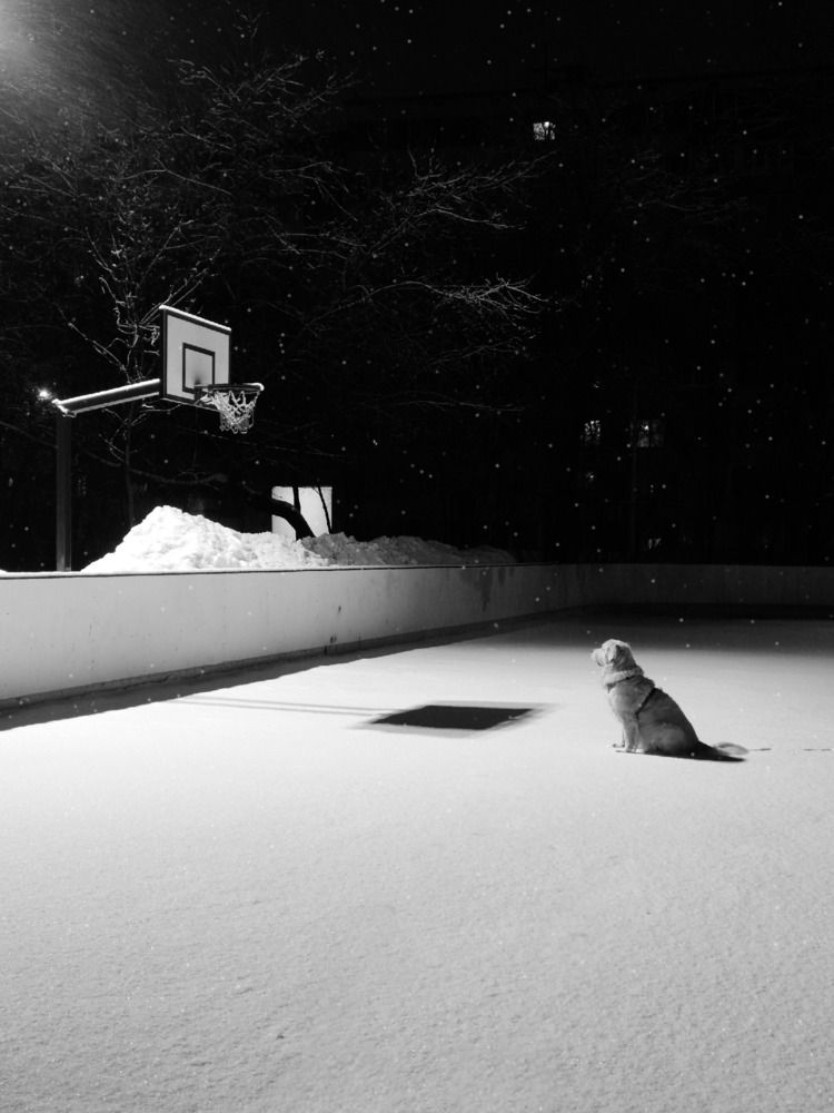 Photograph by Ольга Вороная