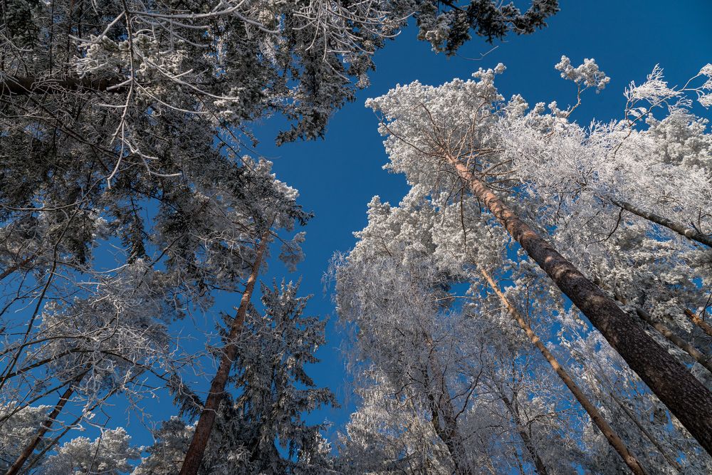 Photograph by Максим Лупач
