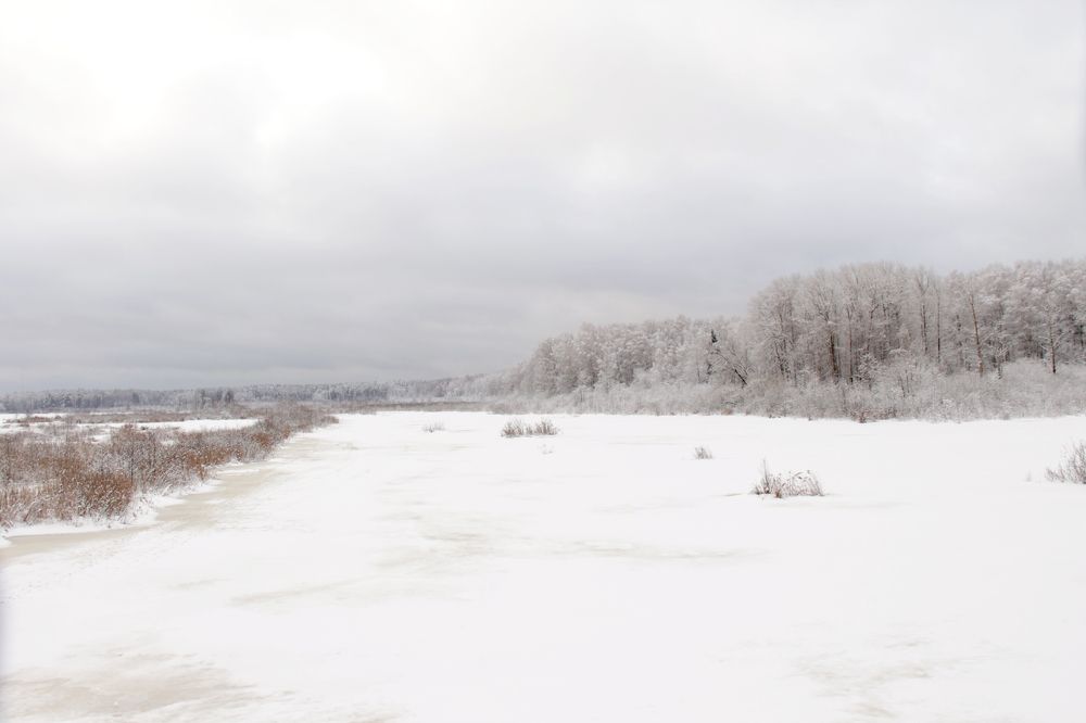 Снежная тишина