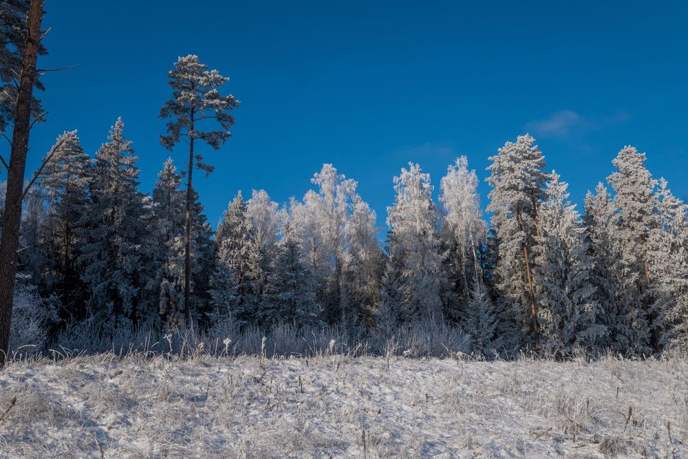 Photograph by Максим Лупач