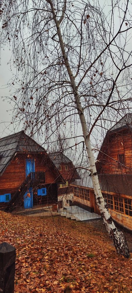 Photograph by Ольга Попова