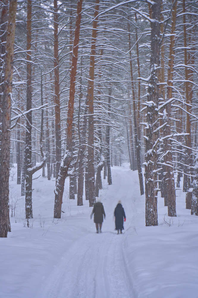 Photograph by Дмитрий Носов