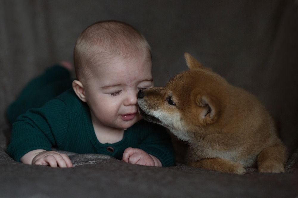 Photograph by Наталья Парфенова