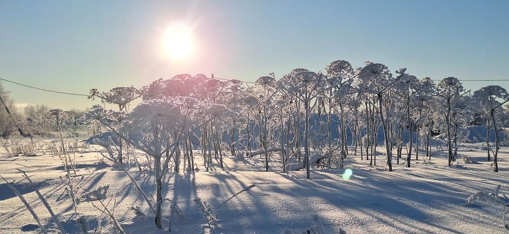 Photograph by Наталья Вялых