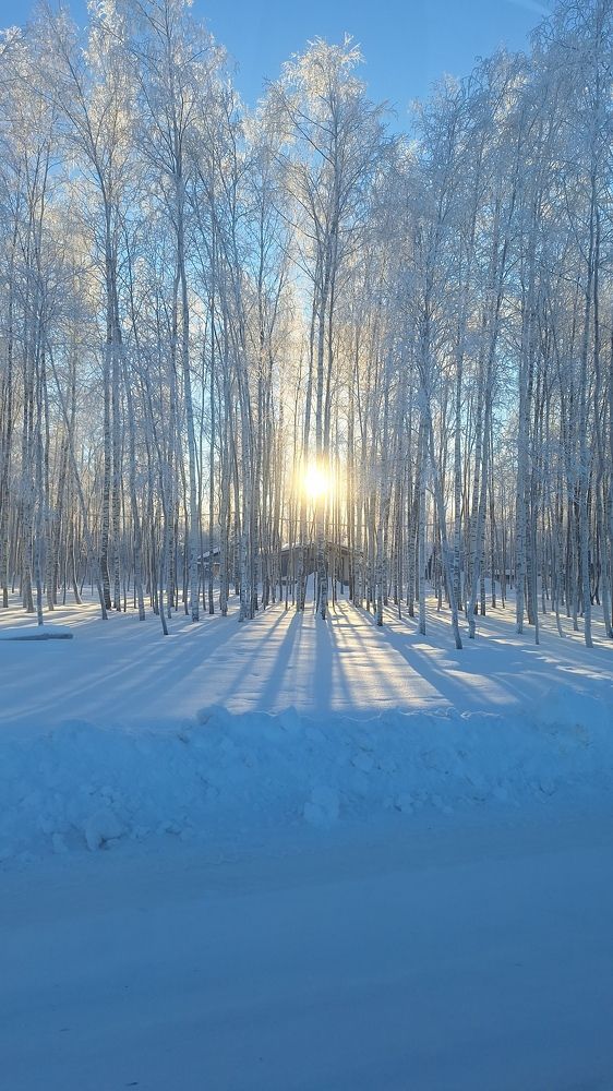 Photograph by Наталья Вялых