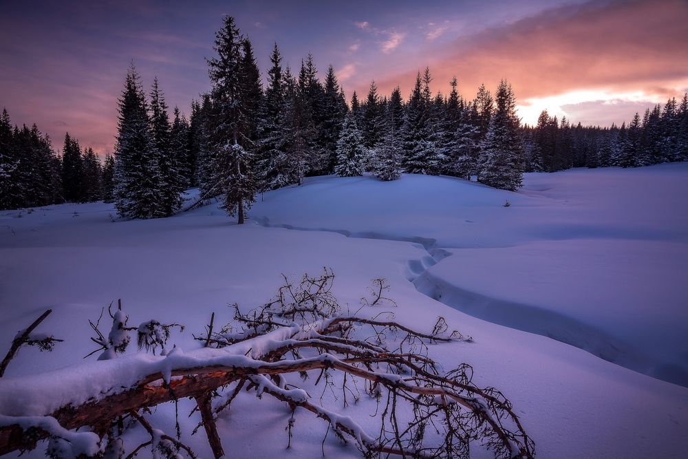 Фотография автора Mariyana Atanasova - Lucero