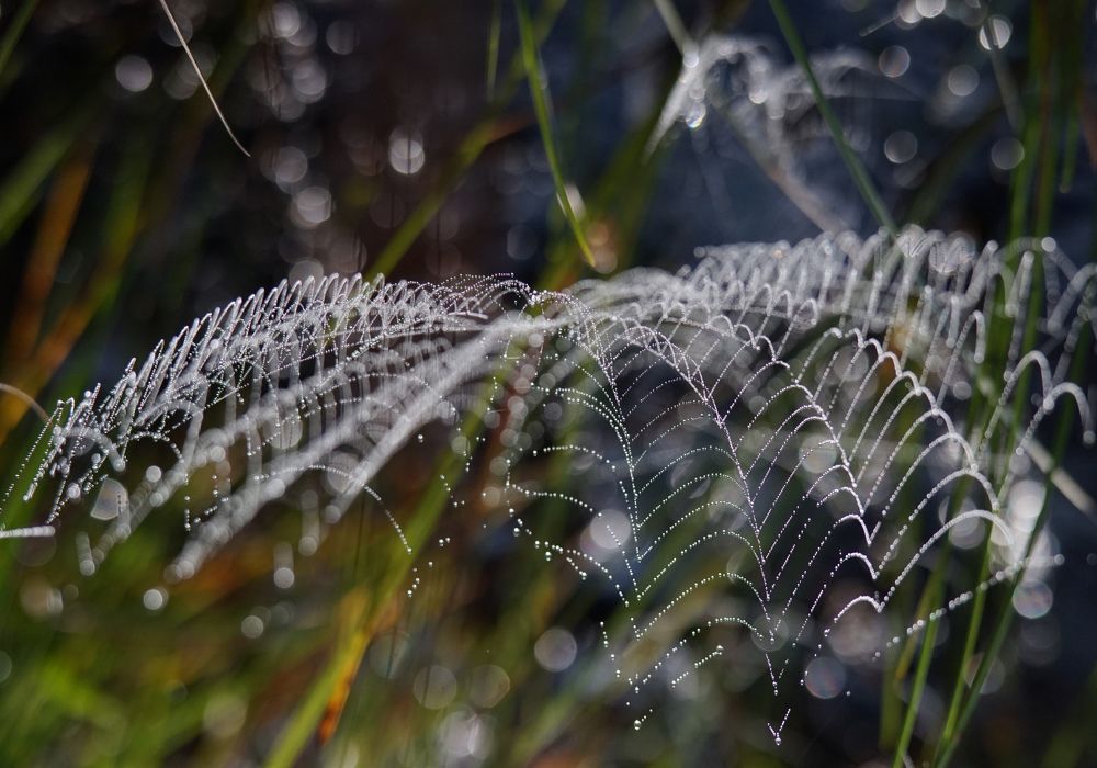 Photograph by Лена Максимкина