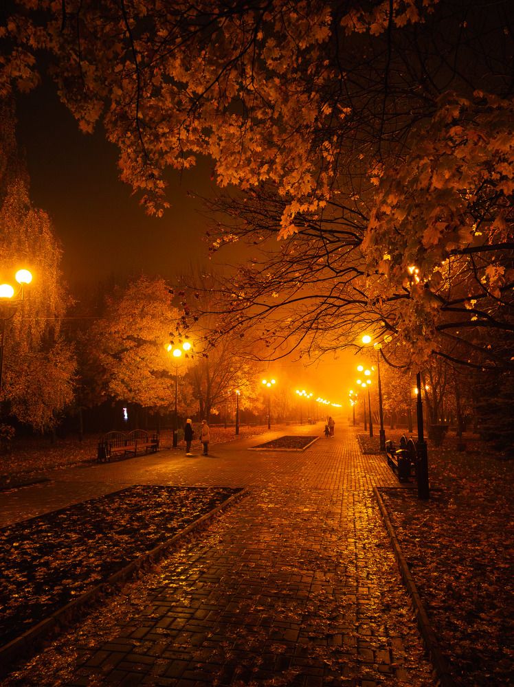 Вечерний бульвар