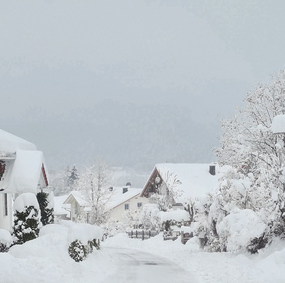 Photograph by Светлана