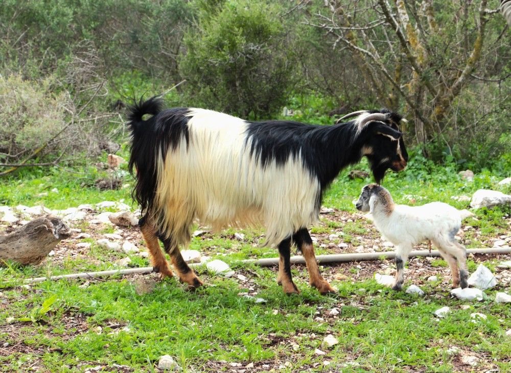 Photograph by Людмила Бутова