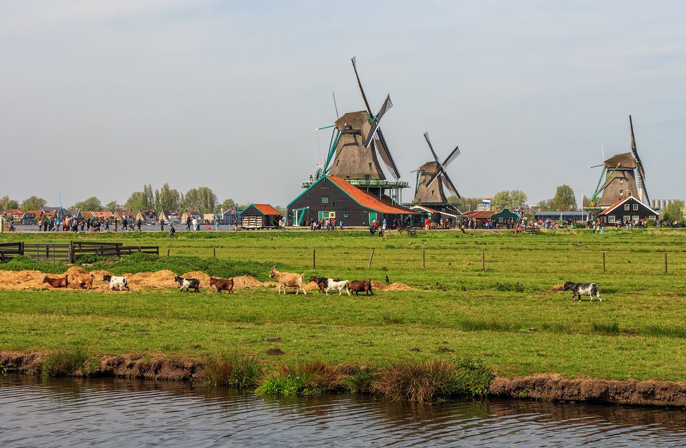 Photograph by Elena Zorina