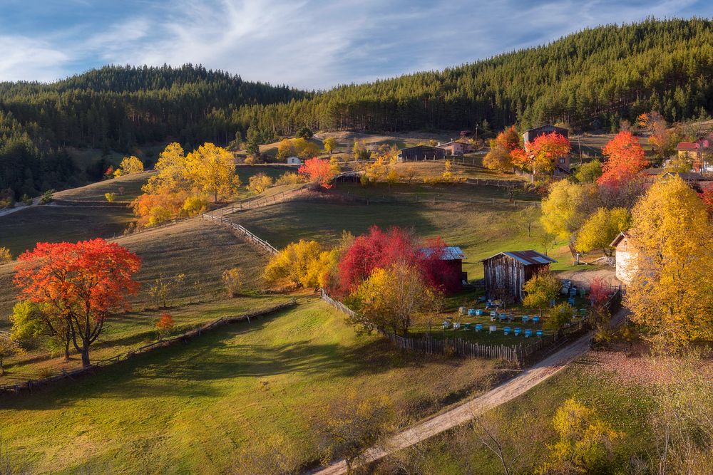 Photograph by Mariyana Atanasova - Lucero