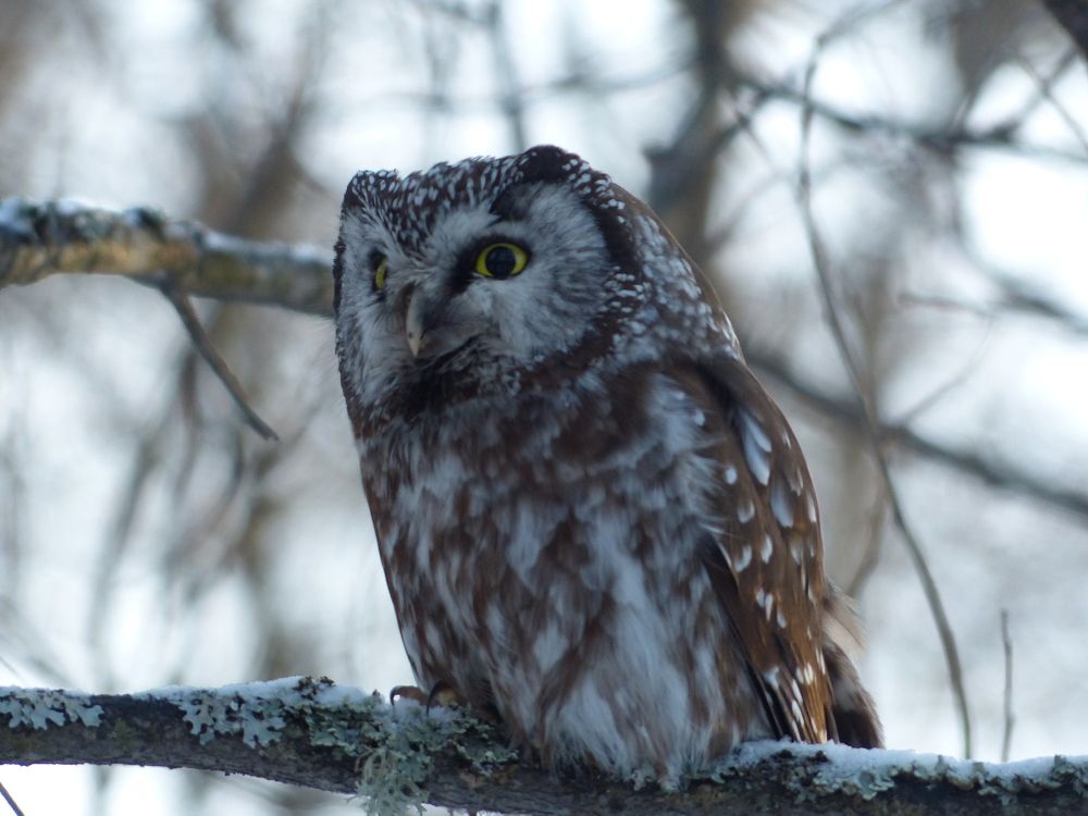 Photograph by Георгий Салюков