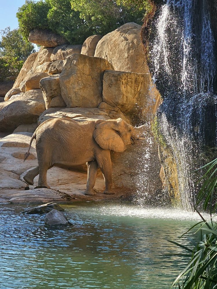 Photograph by Elena N.