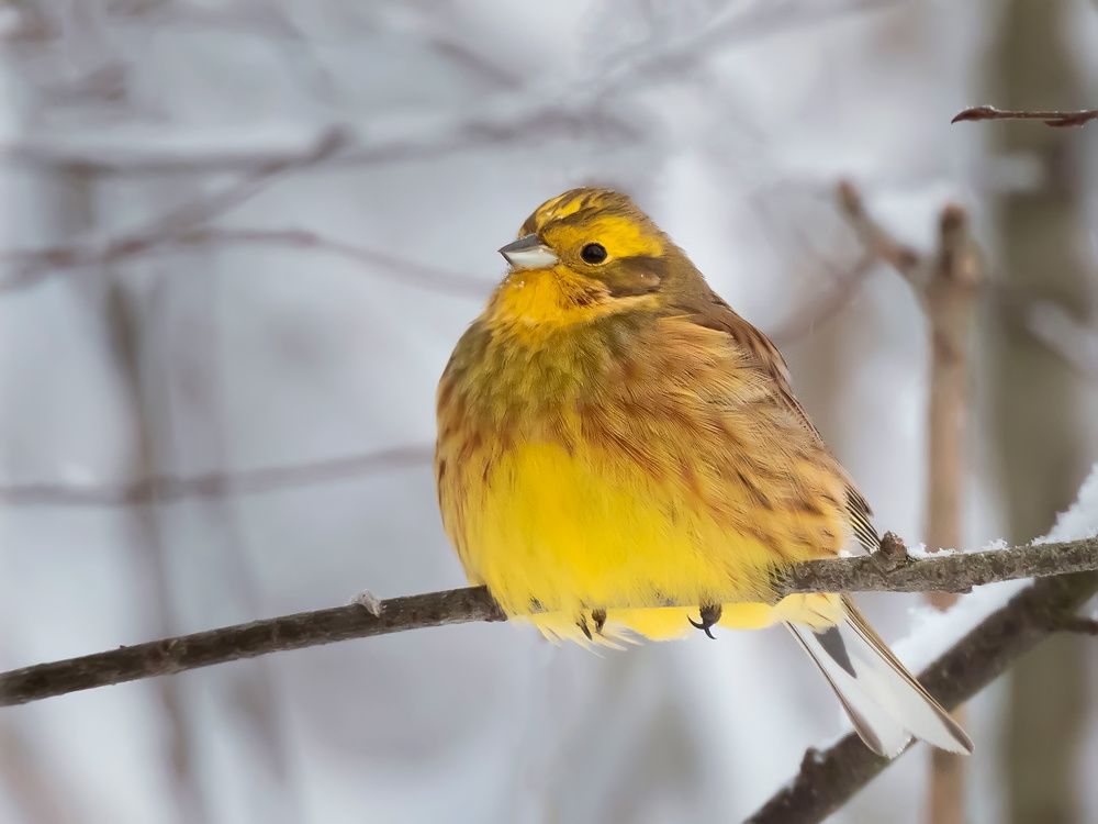 Photograph by Галина Горяинова