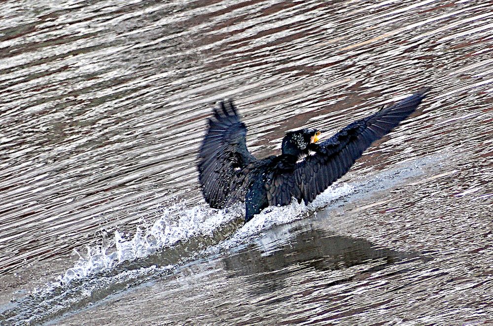 Photograph by Marina Weiland