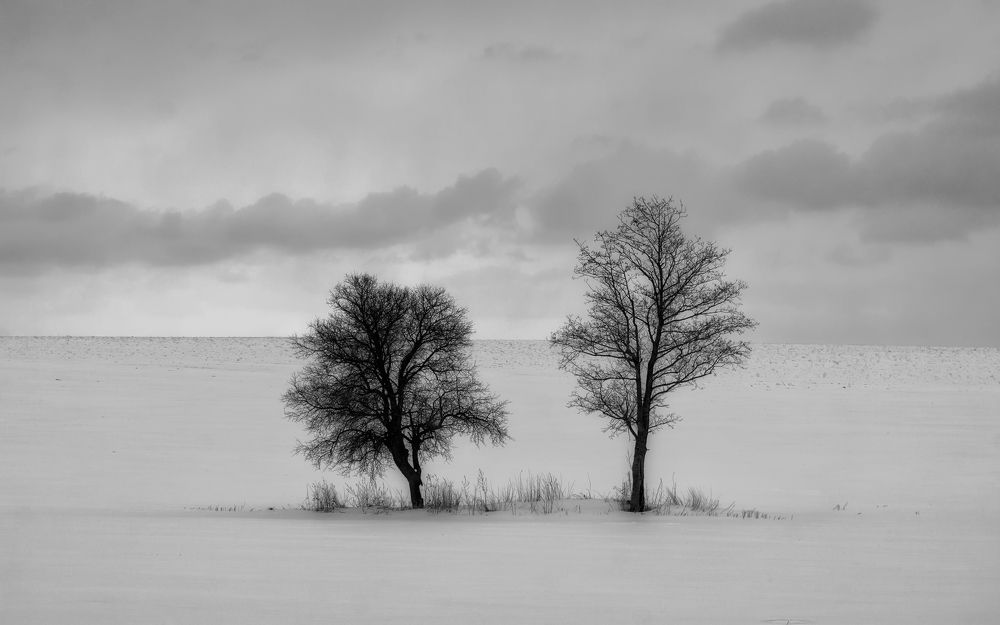 Photograph by Сергей Дишук