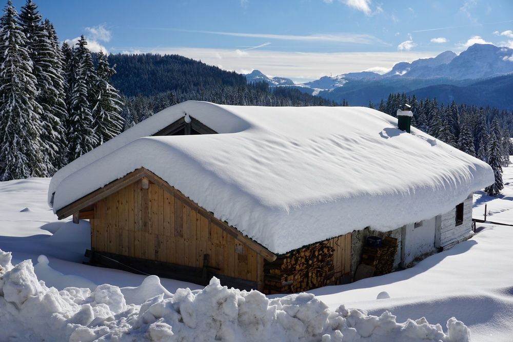 Фотография автора Liudmila Kiermeier