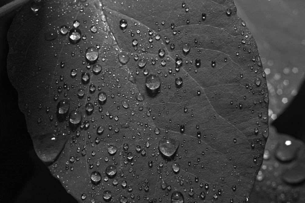 Photograph by Алексей Соймин