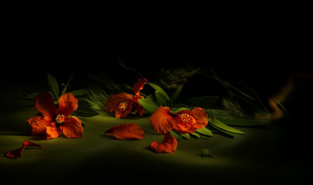 Photograph by Галина Горлицки