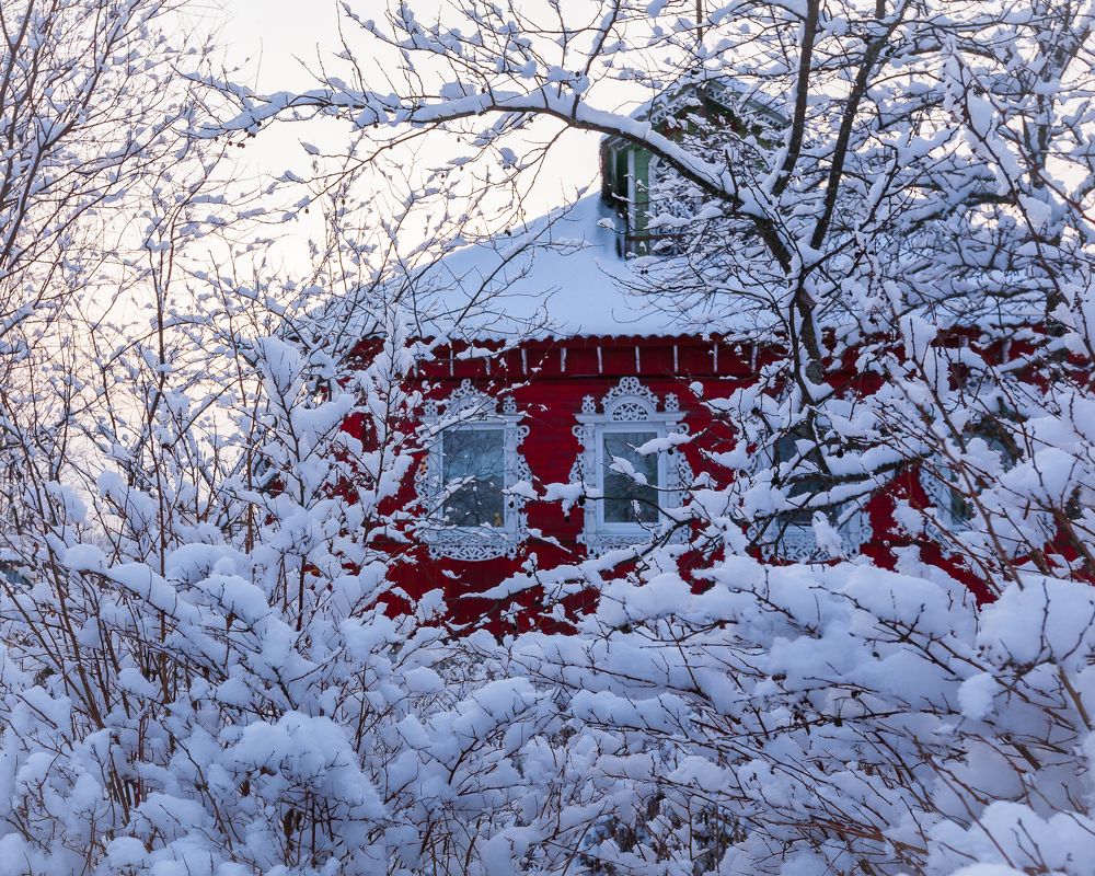 Photograph by Anna Matveeva