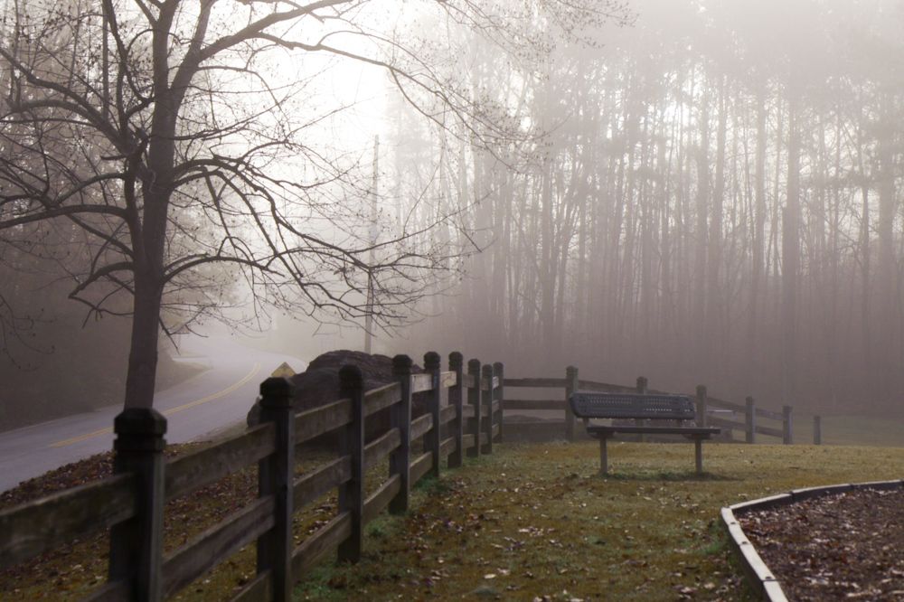 Photograph by Elena Shliachkova