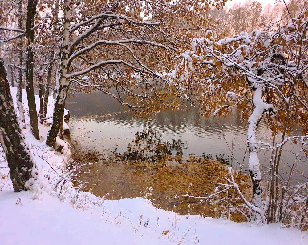 Photograph by Яна Галимуллина