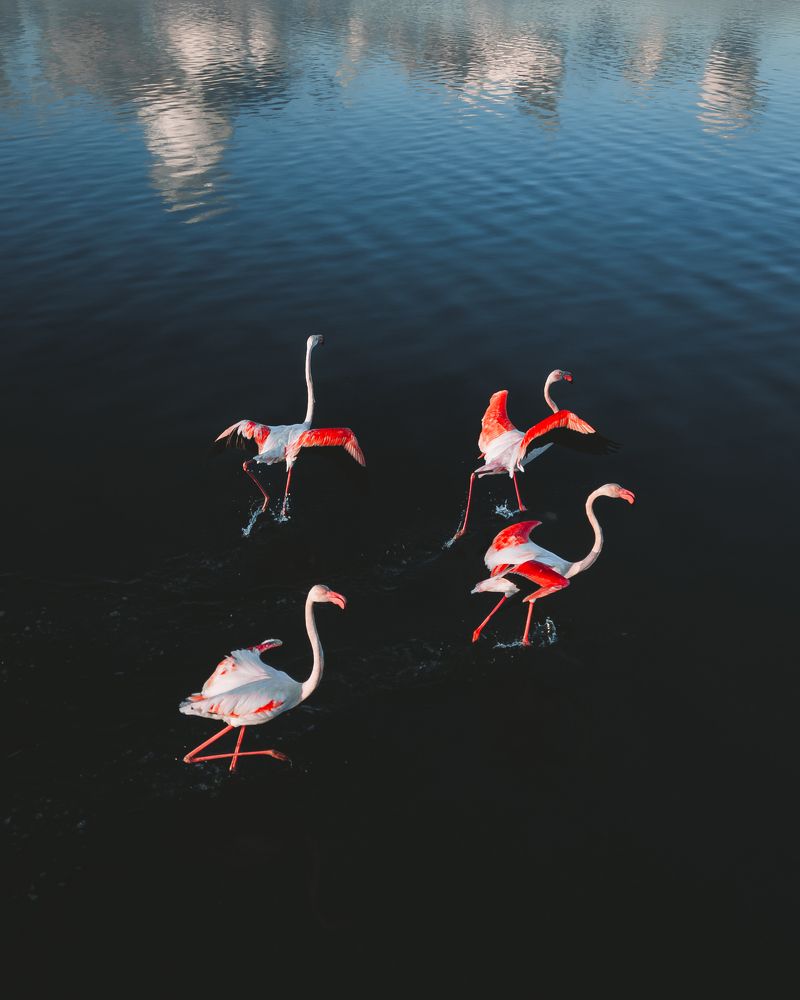 Photograph by Chris Stavrakas