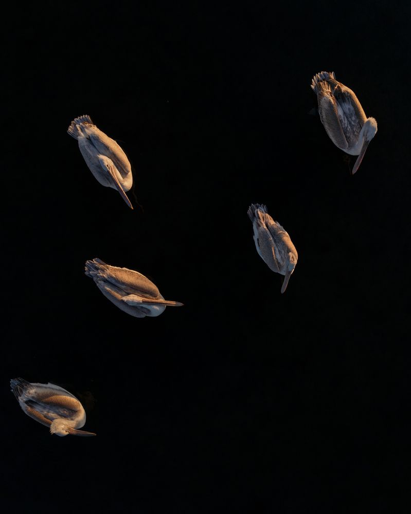 Photograph by Chris Stavrakas